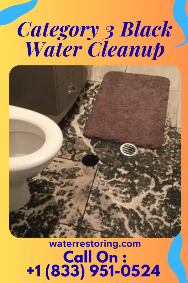 Category 3 Black Water Cleanup in Slayden, TN