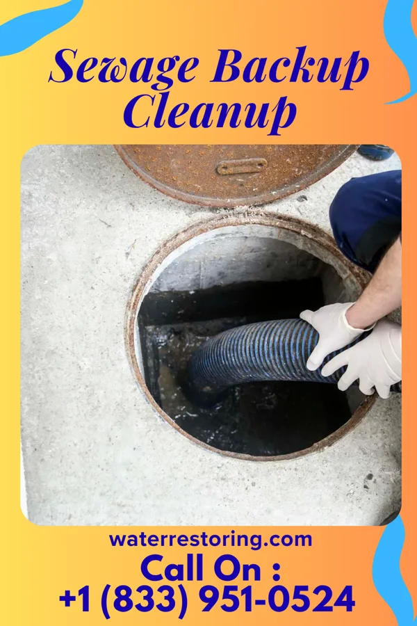 Sewage Backup Cleanup in Slayden, TN